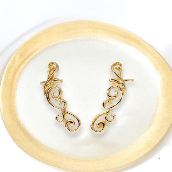 HSN Bellezza Jewelry Collection ITALY EarClimber Post Earrings 18KGPBronze 1.31” - Picture 5 of 5